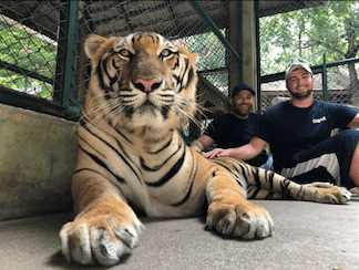 Screen Shot 2018-06-24 at 4.50.06 PM.png