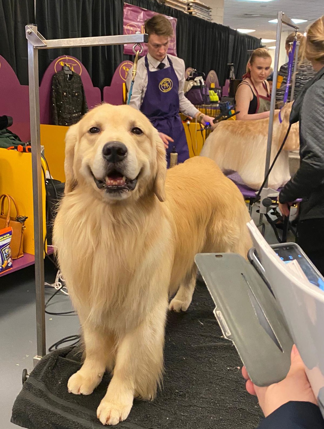 View album “Recents”-1.jpeg